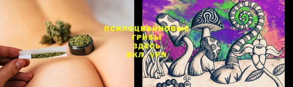 твердый Армянск