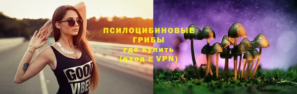твердый Армянск